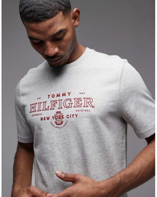 Tommy Hilfiger Gray Heritage Graphic T-shirt for men