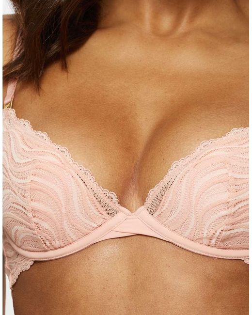 KBX Brown Lola Padded Plunge Bra
