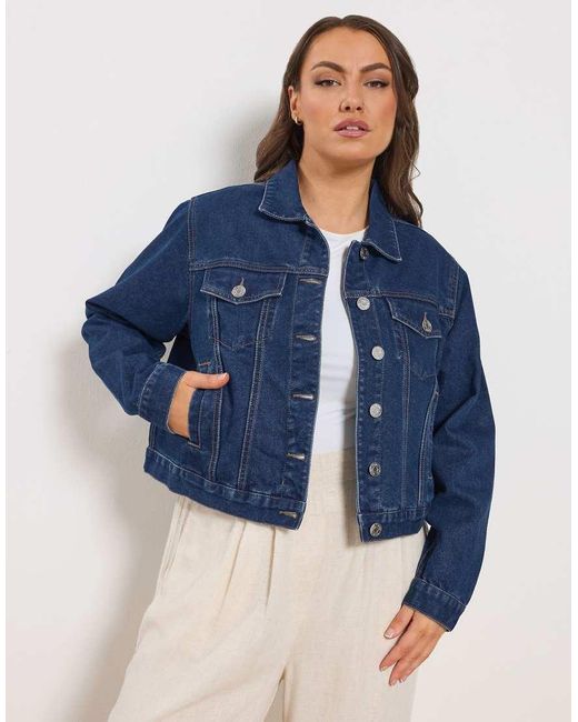 Yours Clothing Blue Denim Jacket