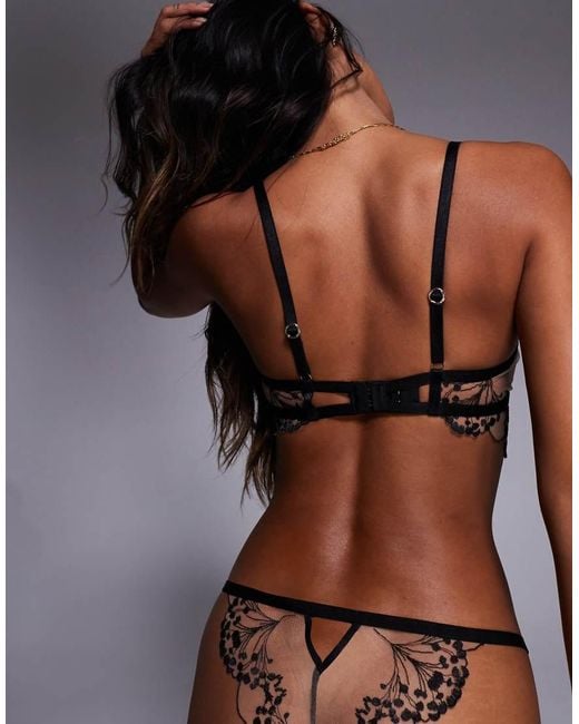 Bluebella Brown Marisa Longline Sheer Bra