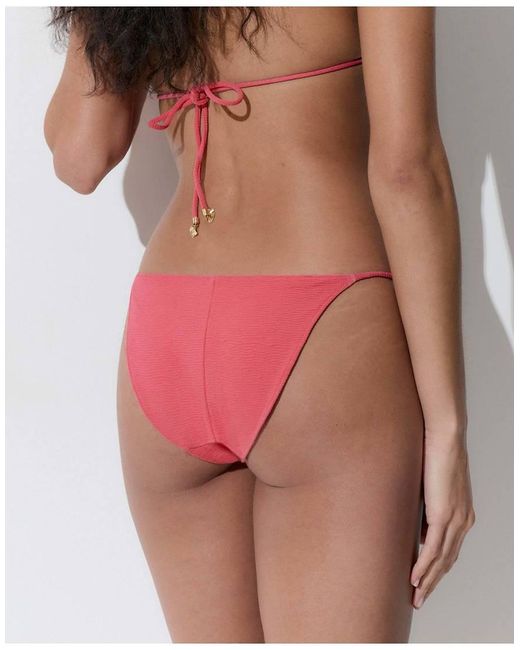 Bluebella Multicolor Cadiz Bikini Brief