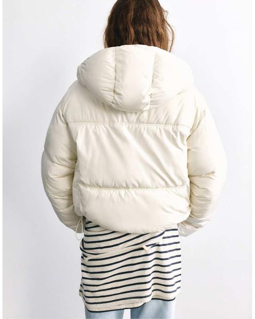 Pull&Bear Cropped Pufferjack Met Capuchon in het Natural