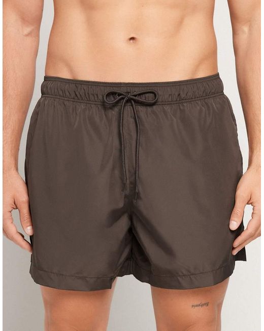 Tezenis Gray Basic Swimming Shorts for men