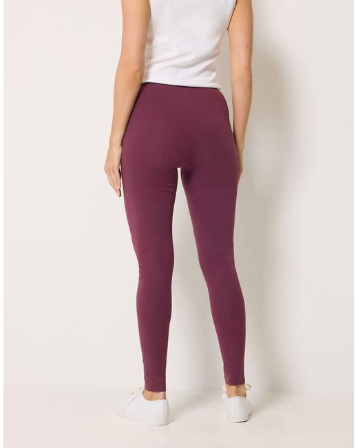 Long Tall Sally Purple Cotton Stretch Leggings