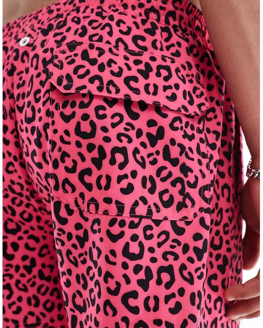 OOSC Red Leopard Swim Shorts for men