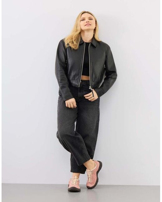 Bolongaro Trevor Gray Real Leather Flora Bomber