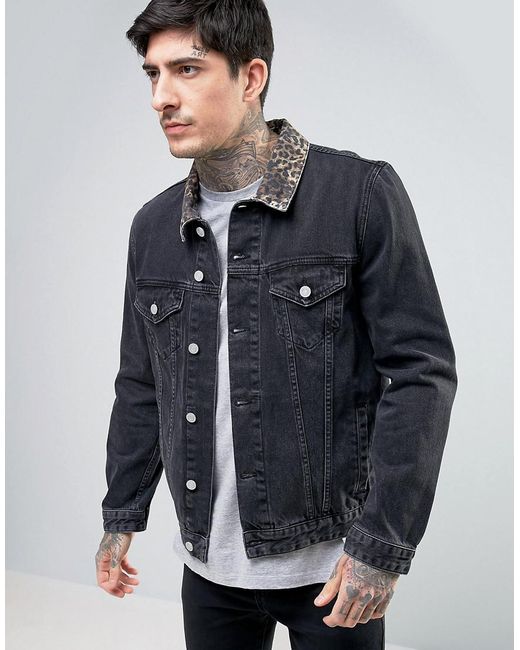 ASOS Denim Jacket With Leopard Print Collar In Black Wash for Men Lyst