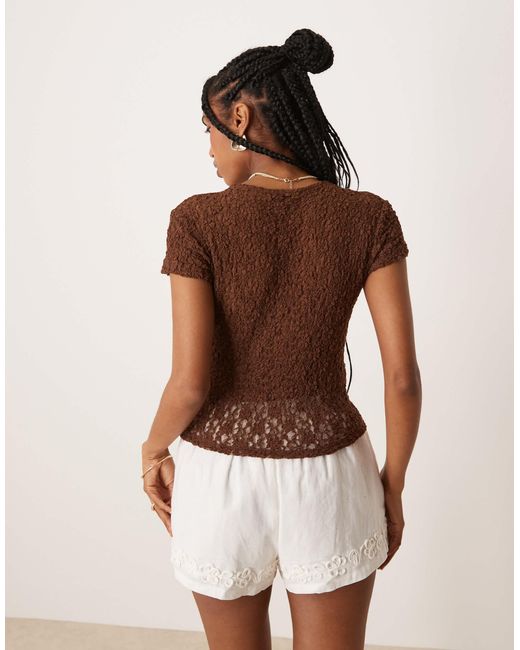 ASOS Brown – kurzärmliges, knapp geschnittenes spitzen-t-shirt