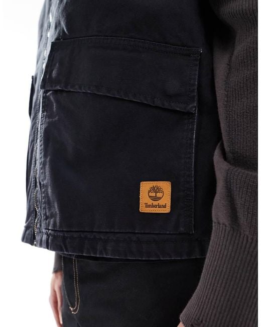 Timberland Blue Washed Canvas Vest for men