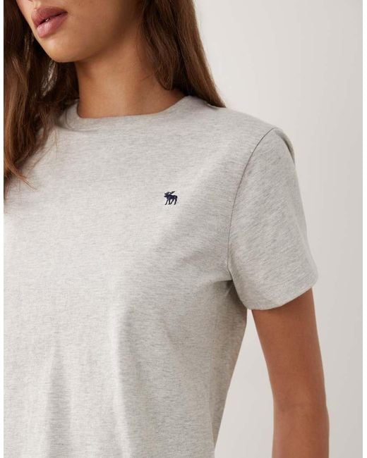 Abercrombie & Fitch Natural Icon Logo Everyday T-shirt
