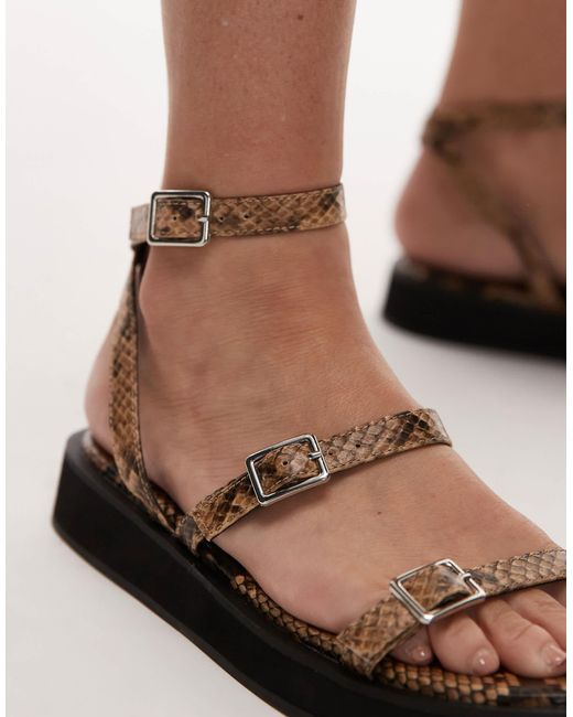 TOPSHOP Brown Jake Buckle Sandals