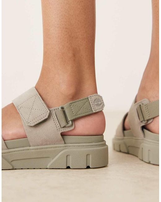 Timberland Gray Field Sandals
