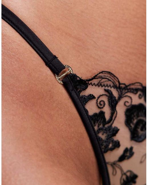 Bluebella Black Morella Thong