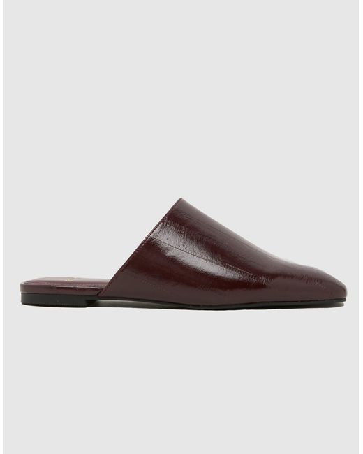 Schuh Brown Latina Mule