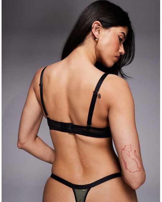 Ann Summers Brown Yours Truly Padded Plunge Bra
