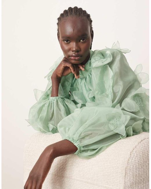 ARRANGE Mini-Jurk Van Organza Met Bloemen-Appliqué, Hoge Hals En A-Lijn in het Green