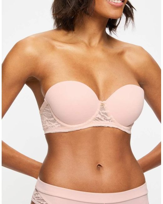 KBX Brown Knickerbox Charlotte Padded Strapless Bra