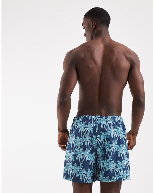 Hollister Blue Pull On Swimming Trunks for men