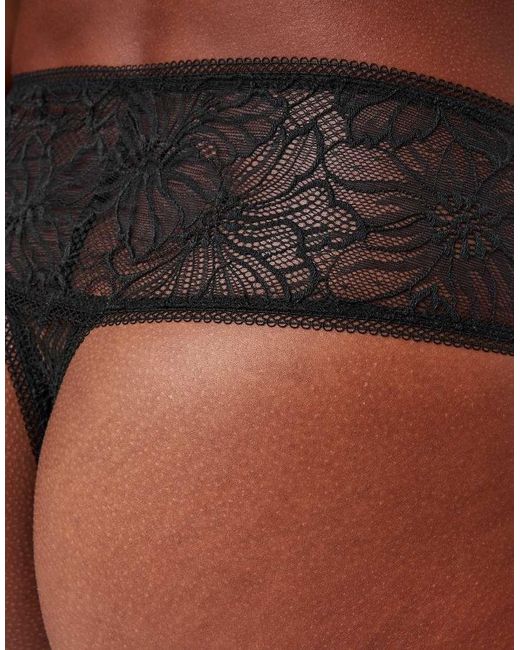 KBX Black Knickerbox Alice Deep Thong
