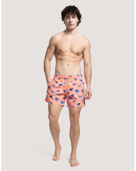 Apreslife Pink Manta Swim Shorts for men