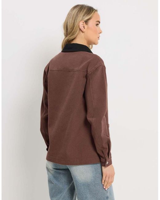 Long Tall Sally Brown Twill Barn Jacket