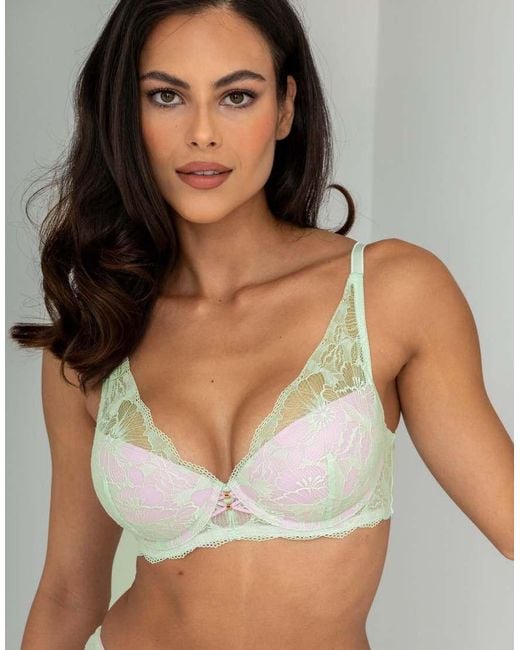 Pour Moi Natural Atelier Lace High Apex Lightly Padded Underwired Bra
