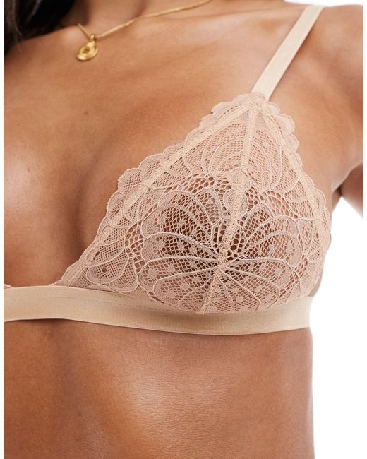 ASOS Brown Sienna Lace Classic Triangle Bra