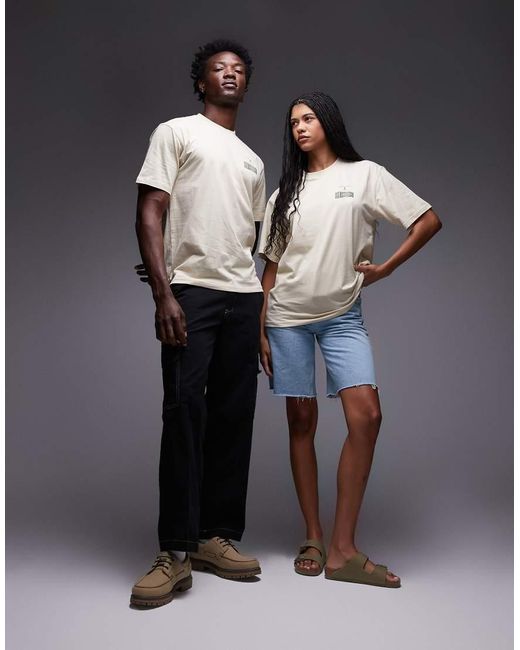 Apison di Dickies in Gray