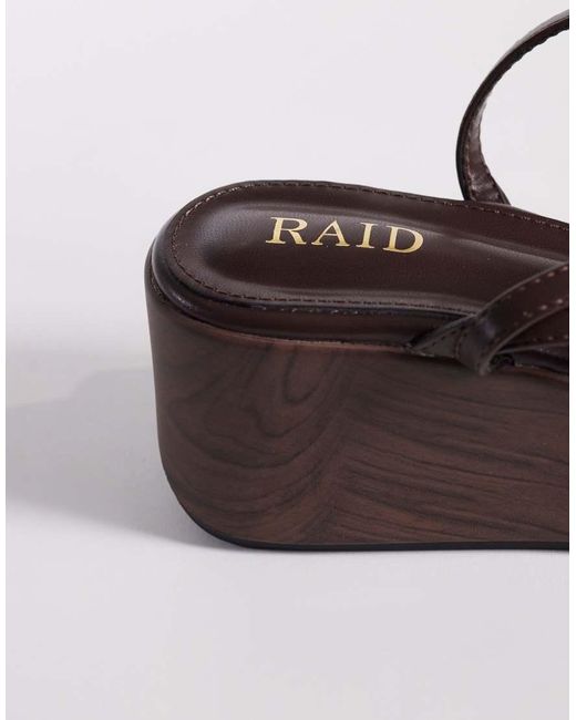 Adaluna di Raid in Brown