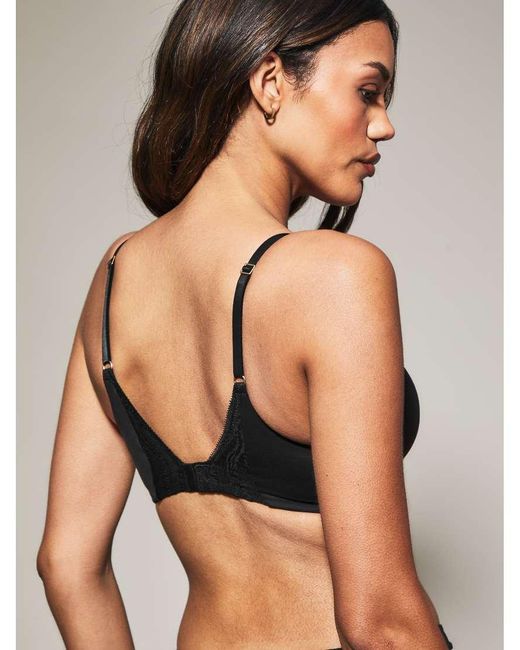 KBX Black Knickerbox Charlotte Padded Non Wire Bra