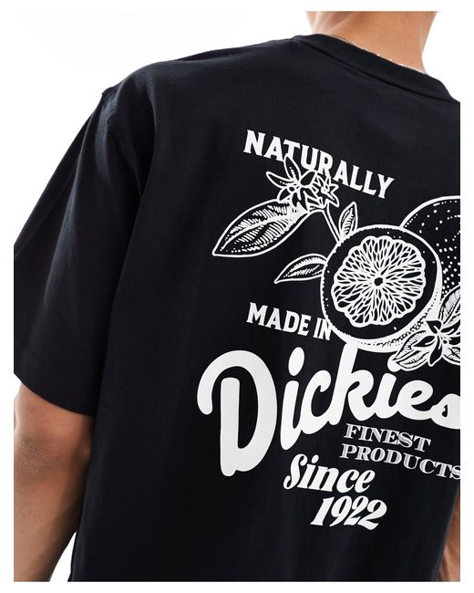 Camiseta negra con estampado en la espalda "raven" Dickies de color Black