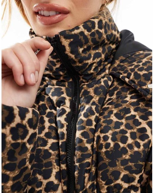 Abrigo Midi Acolchado Con Estampado De Leopardo De Threadbare de color Gray
