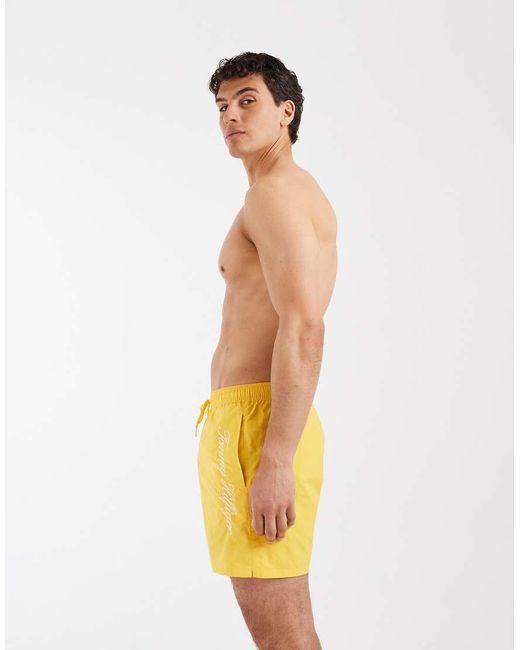 Tommy Hilfiger Green Resort Drawstring Swim Short for men