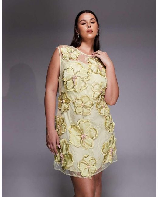 ASOS Green Curve Embellished 3d Floral Lace Mini Dress With Drop Pearls