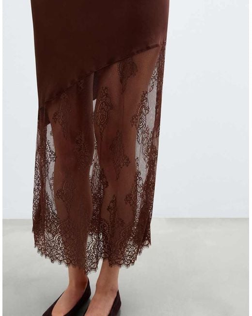 Intimissimi Brown Lace Perfection