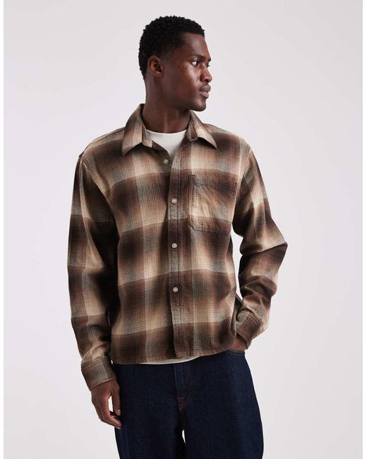 Hollister Brown Long Sleeve Plaid Shirt