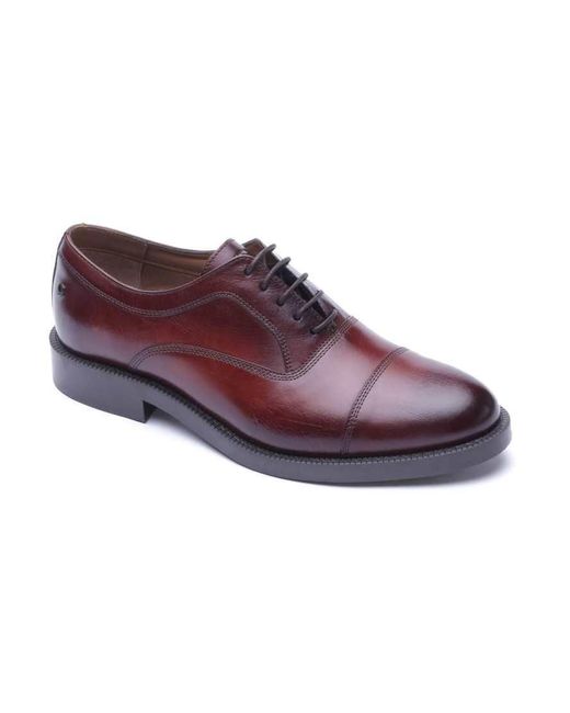 Base London Purple Roma Toe Cap Shoe for men