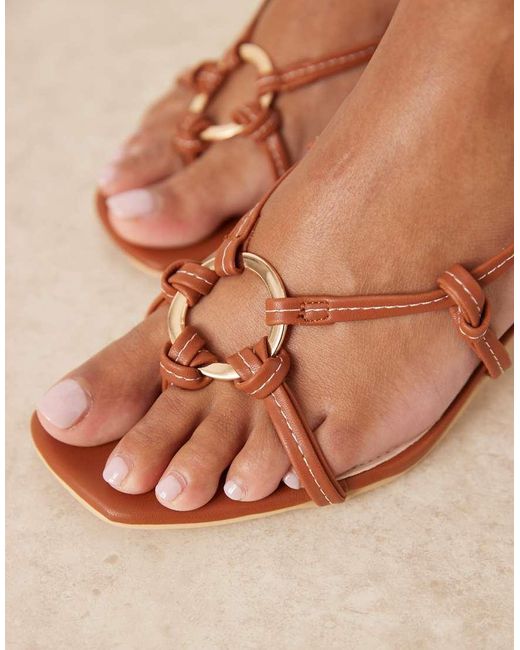 Raid Danika in het Multicolor