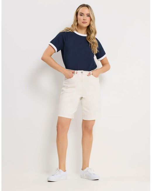 Long Tall Sally Blue Denim Bermuda Shorts