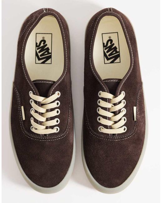 Vans Brown Authentic Trainers for men