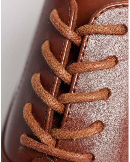 ASOS Brown Oxford Shoes for men