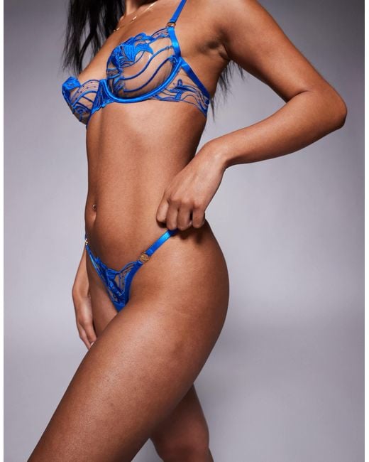 Bluebella Blue Bella Monique Embroidered Mesh Lingerie Thong