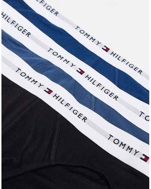 Tommy Hilfiger Blue Signature Cotton 3 Pack Logo Briefs for men