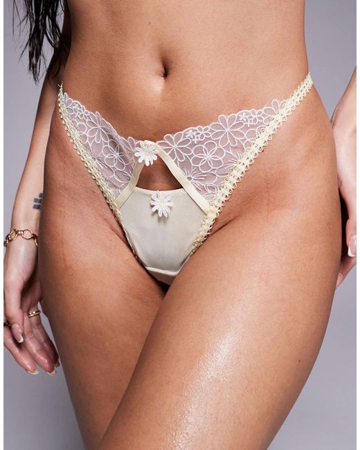 Haydee - string - blanc Wild Lovers en coloris Gray