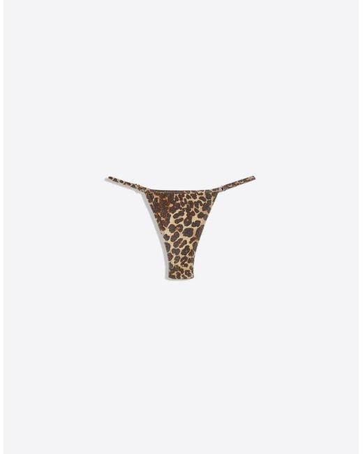 Bershka Orange Animal Print Bikini Bottoms