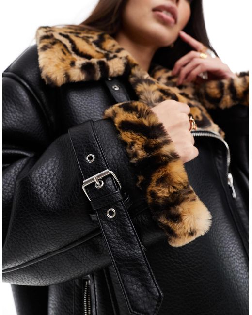 Miss Selfridge Black – pilotenjacke aus kunstleder mit kunstpelzbesatz mit leopardenmuster