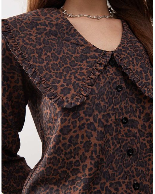 Daisy Street Brown – kastige bluse mit akzentuiertem kragen und leopardenmuster