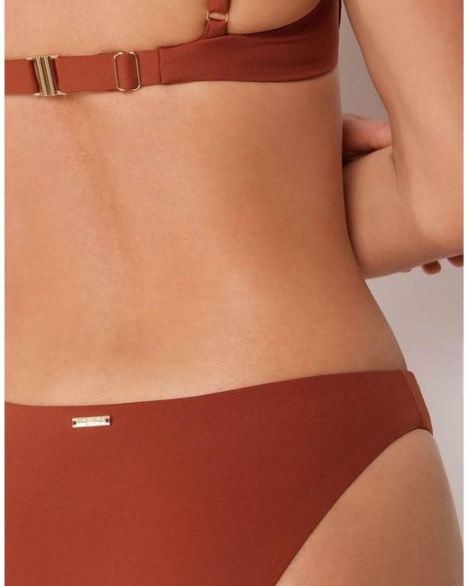 Calzedonia Brown Premium Fit Brief Bikini Bottom