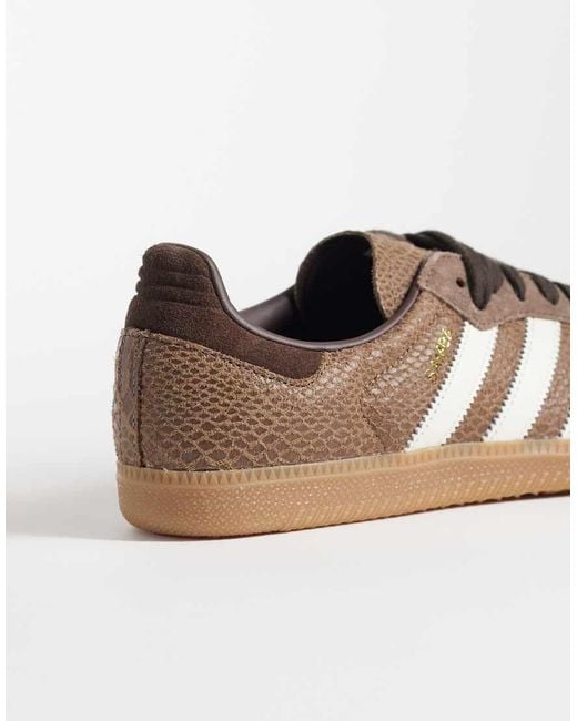 Adidas Originals Brown Samba Og Trainers for men