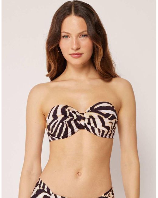 Calzedonia Black Fuller Bust Bandeau Bikini Top Savannah Zebra